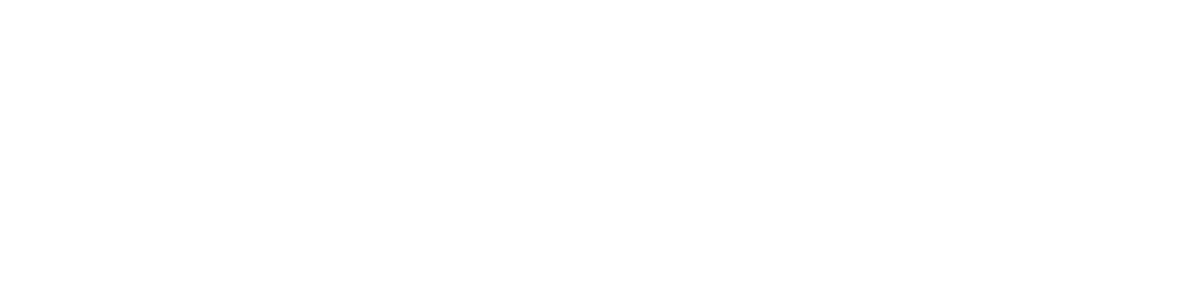 Automatische optische Inspektionssysteme (AOI) | in-situ